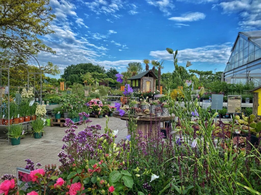 Startseite Blumen & Garten Haberler Ideen mit Blatt und Blüte